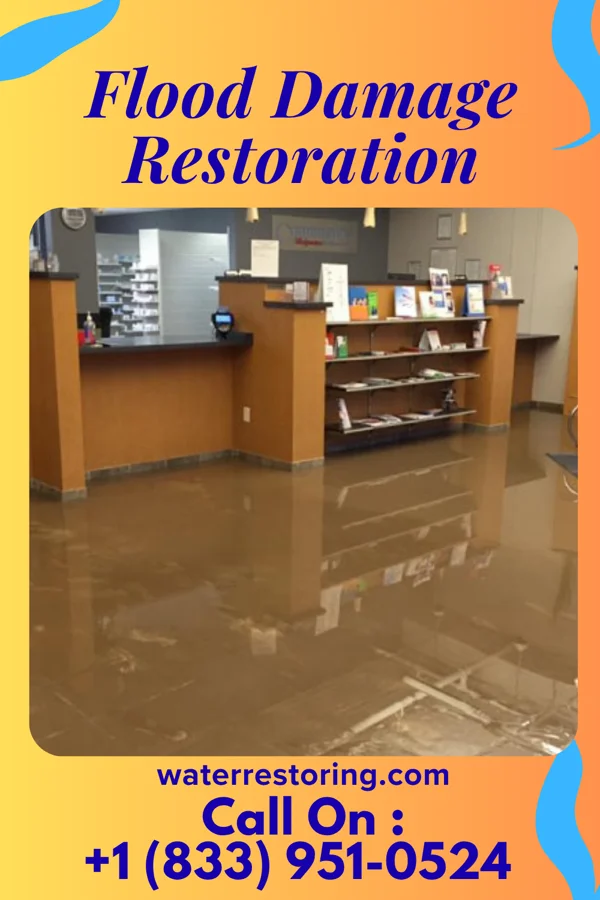 Flood Damage Restoration in Hudson Bend, TX