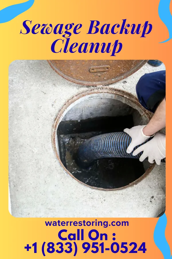 Sewage Backup Cleanup in Hudson Bend, TX